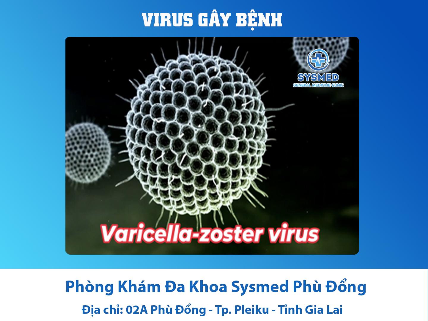 virus-gay-benh-thuy-dau